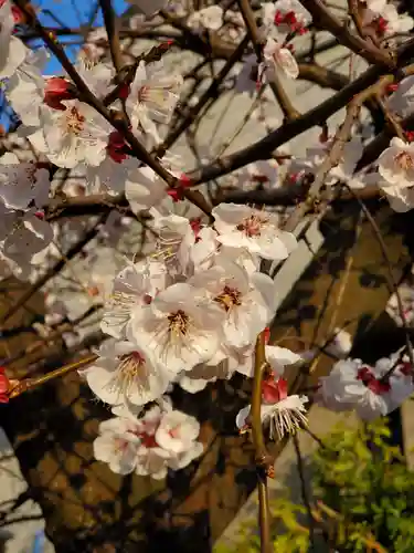 住吉神社の自然