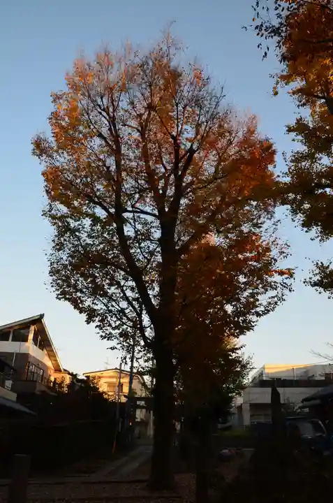 西向天神社の自然