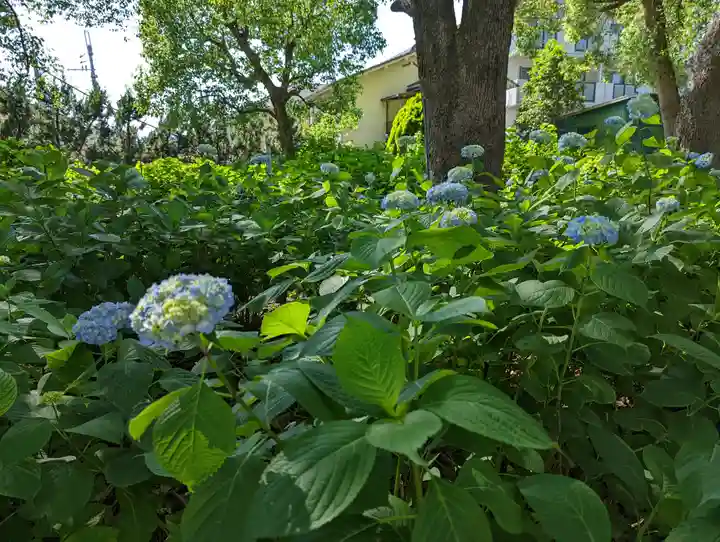 藤森神社(京都府)