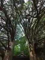 須佐之男神社(愛知県)