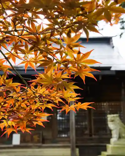 松岬神社(山形県)