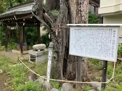 日月神社(埼玉県)