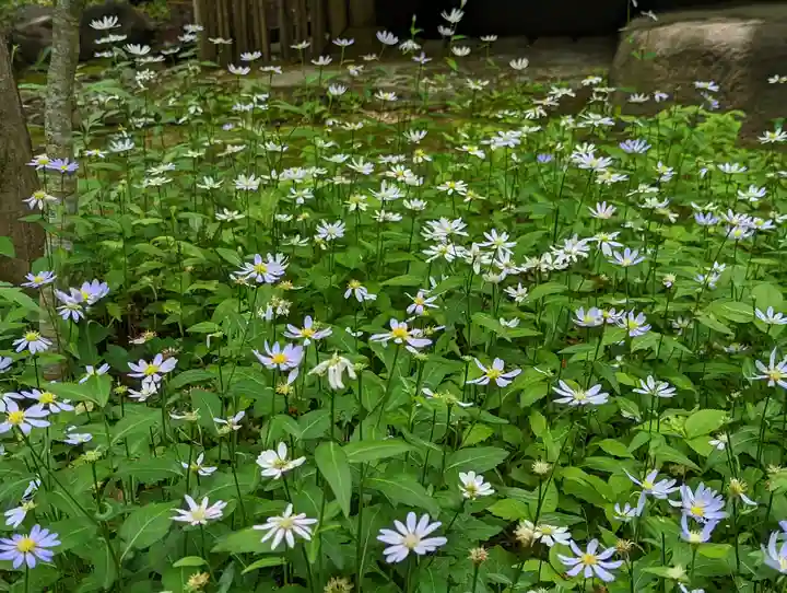 蓮華寺(洛北蓮華寺)(京都府)