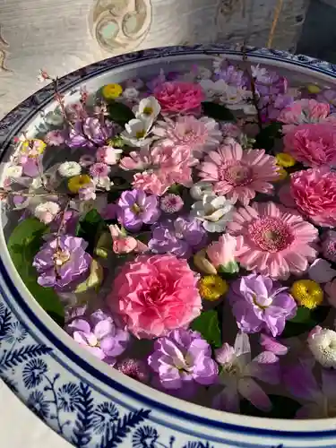 白岡八幡神社(埼玉県)