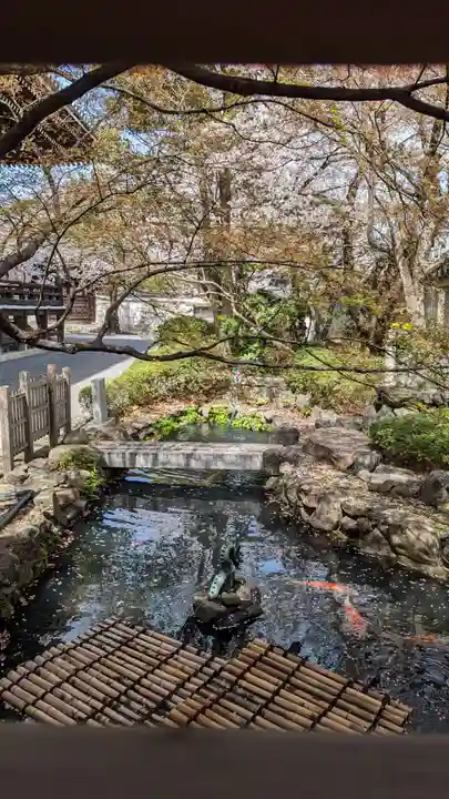 妙顯寺(妙顕寺)(京都府)