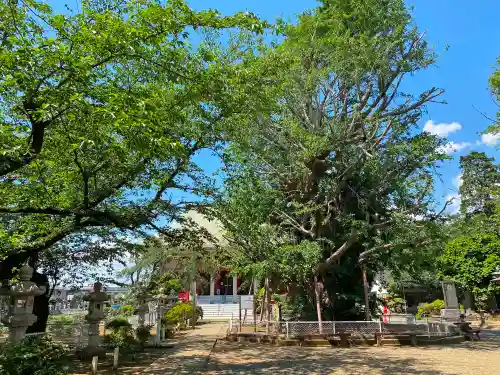 千葉寺のその他建物
