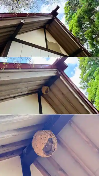 福田稲荷神社の{uncategorized: "未分類", other: "その他", undefined: "問題あり", building: "その他建物", grave: "お墓", sacred_gate: "鳥居", guardian: "狛犬", statue: "像", buddha: "仏像", history: "歴史", nature: "自然", garden: "庭園", animal: "動物", pagoda: "塔", temizu: "手水舎", mountain_gate: "山門・神門", sanctuary: "本殿・本堂", subordinate: "末社・摂社", art: "芸術", scenery: "景色", jizo: "地蔵", ema: "絵馬", goshuin: "御朱印", omikuji: "おみくじ", items: "授与品その他", amulet: "お守り", goshuincho: "御朱印帳", eats: "食事", festival: "お祭り", votive_dance: "神楽", shichigosan: "七五三参", wedding: "結婚式", experience: "体験その他", initially: "初詣", around: "周辺", anti_infection: "感染症対策"}