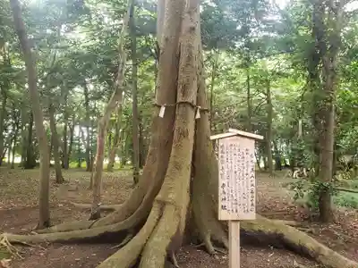 豊満神社の自然