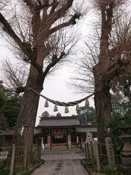 亀ケ池八幡宮の自然