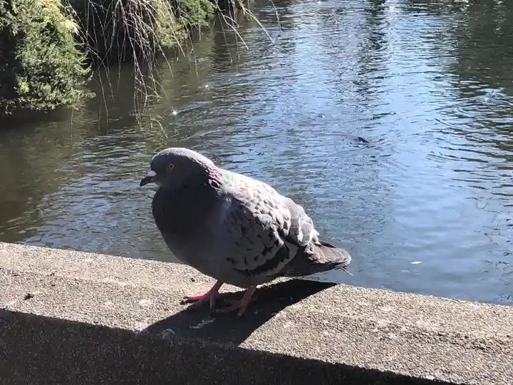 三嶋大社(静岡県)