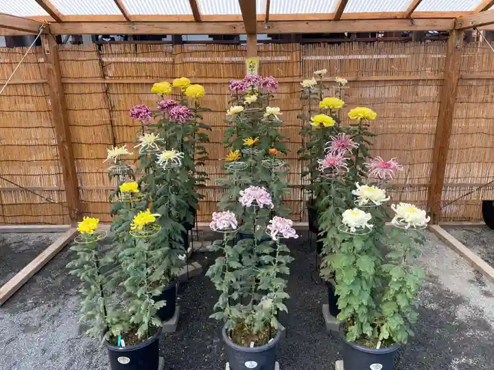 本願寺(西本願寺)(京都府)