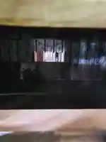 鸕鷀草神社の本殿・本堂