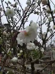 妙音寺(神奈川県)