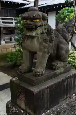 白山神社の狛犬
