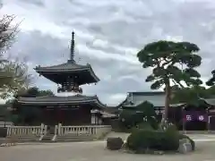 護国寺の建物その他