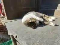 八枝神社(埼玉県)