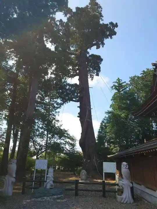 八幡宮(茨城県)