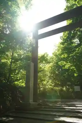 北海道神宮の鳥居