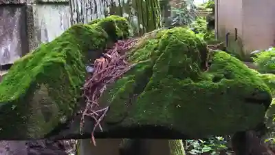 観音寺（寺山観音）のその他建物