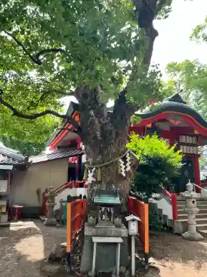 我堂八幡宮(大阪府)