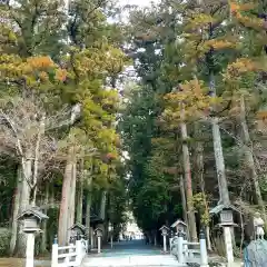 小國神社の自然