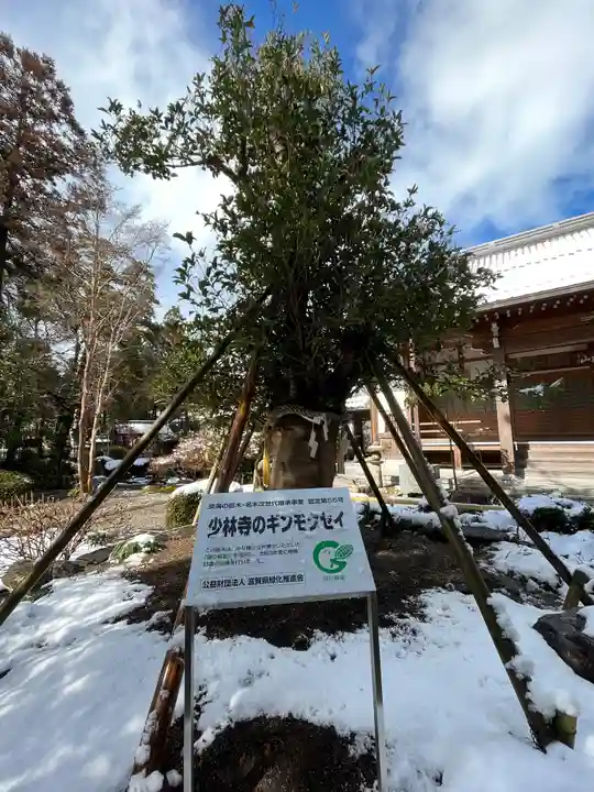 少林寺(滋賀県)