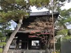 泉岳寺の山門