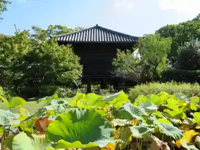 東寺（教王護国寺）のその他建物