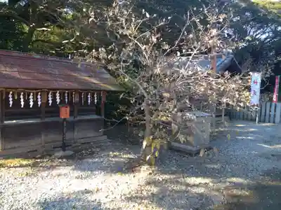 板倉雷電神社のその他建物