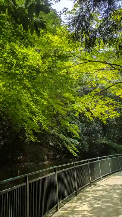 清荒神清澄寺(兵庫県)
