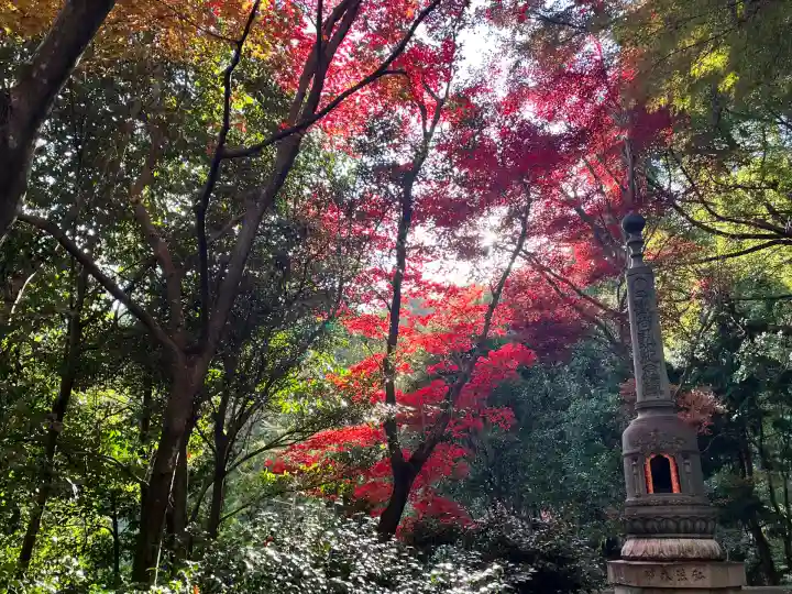 柳谷観音 楊谷寺(京都府)