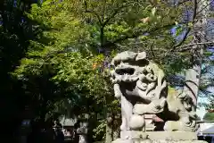 神炊館神社 ⁂奥州須賀川総鎮守⁂の狛犬