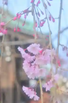 三嶋大社(静岡県)