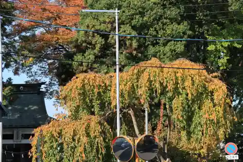 熊野福藏神社の庭園