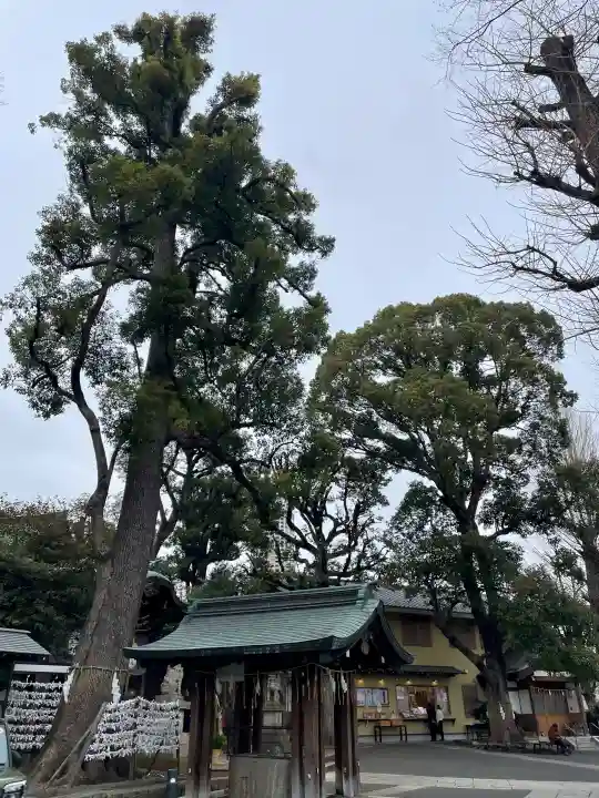 中目黒八幡神社の{uncategorized: "未分類", other: "その他", undefined: "問題あり", building: "その他建物", grave: "お墓", sacred_gate: "鳥居", guardian: "狛犬", statue: "像", buddha: "仏像", history: "歴史", nature: "自然", garden: "庭園", animal: "動物", pagoda: "塔", temizu: "手水舎", mountain_gate: "山門・神門", sanctuary: "本殿・本堂", subordinate: "末社・摂社", art: "芸術", scenery: "景色", jizo: "地蔵", ema: "絵馬", goshuin: "御朱印", omikuji: "おみくじ", items: "授与品その他", amulet: "お守り", goshuincho: "御朱印帳", eats: "食事", festival: "お祭り", votive_dance: "神楽", shichigosan: "七五三参", wedding: "結婚式", experience: "体験その他", initially: "初詣", around: "周辺", anti_infection: "感染症対策"}