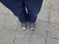 蓮久寺(千葉県)