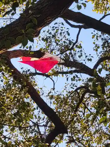 稲荷神社(愛媛県)