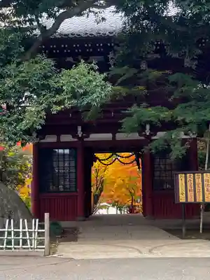 本土寺の山門・神門