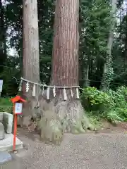 磯山神社(栃木県)