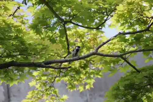 萬寿神社（柏屋本店願掛け萬寿石）(福島県)