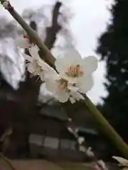 賀羅加波神社の自然