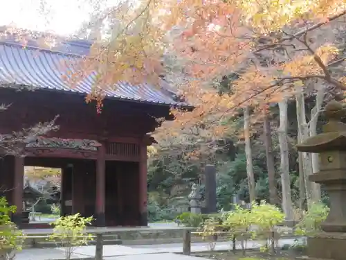 妙本寺の山門