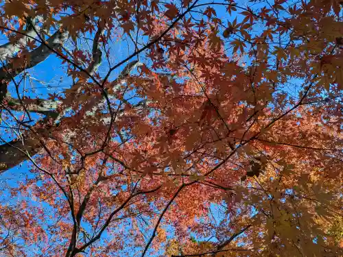 最勝寺(茨城県)