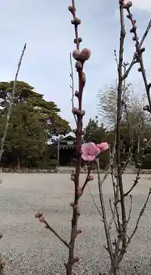 比佐豆知神社(三重県)
