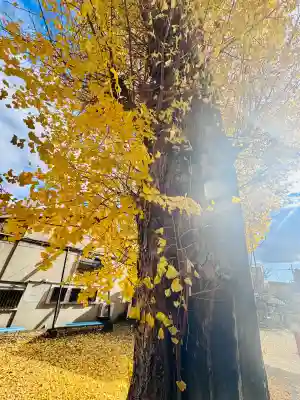 宇賀神社(京都府)