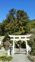 五社神社の鳥居