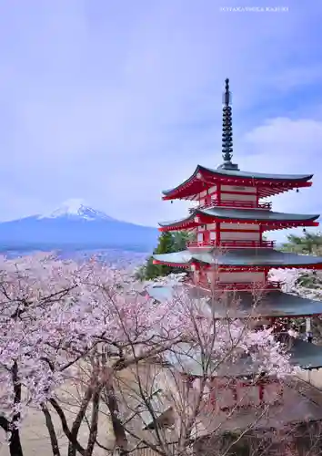 新倉富士浅間神社(山梨県)