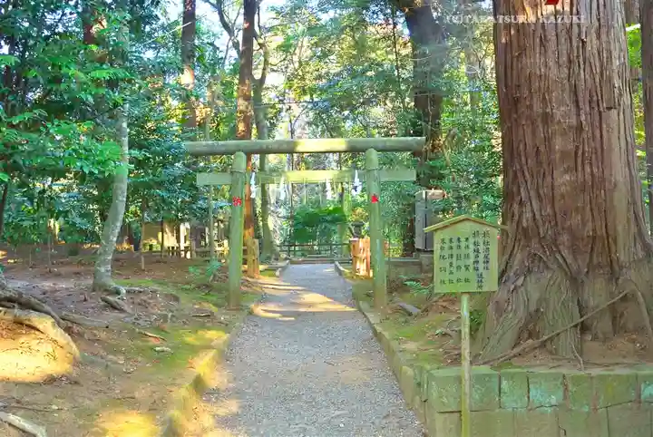 鹿島神宮(茨城県)