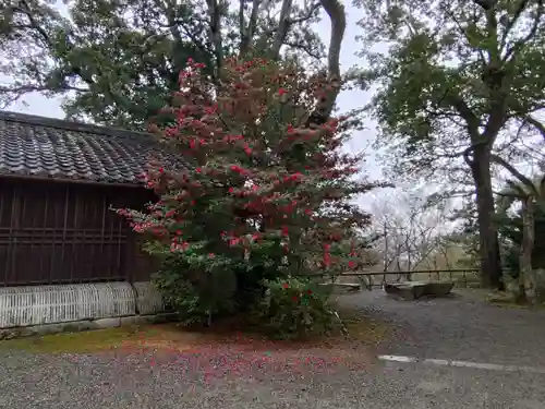 石山寺(滋賀県)