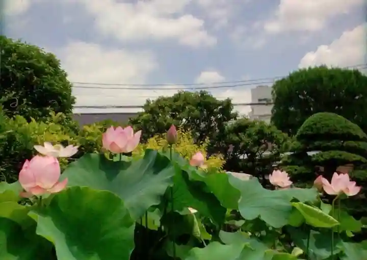 長善寺(東京都)